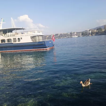 Un P'tit bout de Compostelle