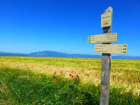 Un P'tit bout de Compostelle