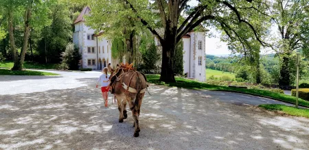 Randonnée 1/2 journée - Programme découverte au pied du Salève